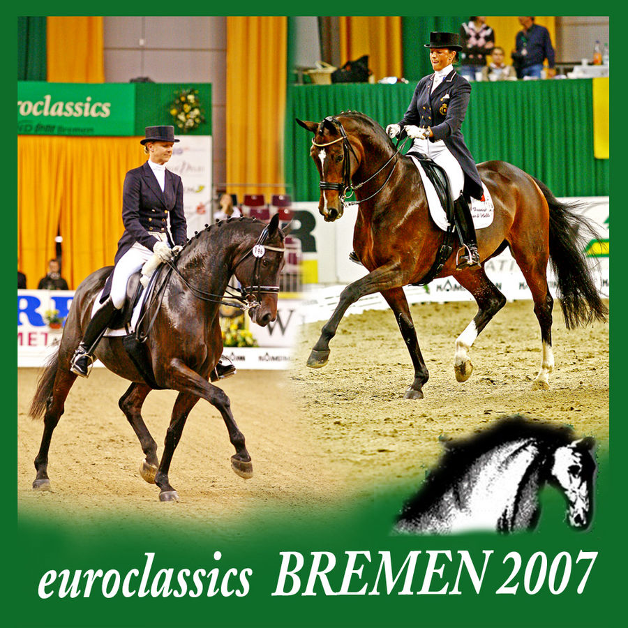 Dressur auf den euroclassics Bremen 4.10 - 7.10.2007