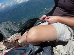Dressur einer Bergdohle auf der Alpspitze