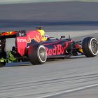 D.Ricciardo ( AUS )