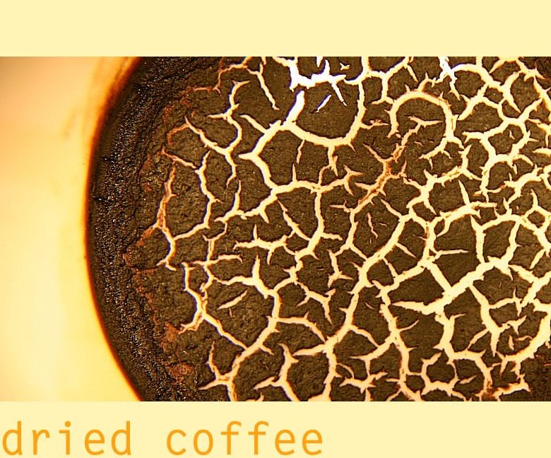 dried coffee