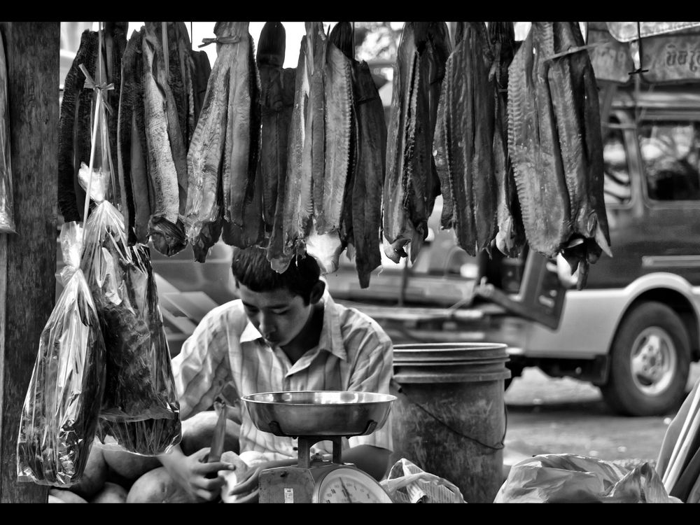 Dried Fish