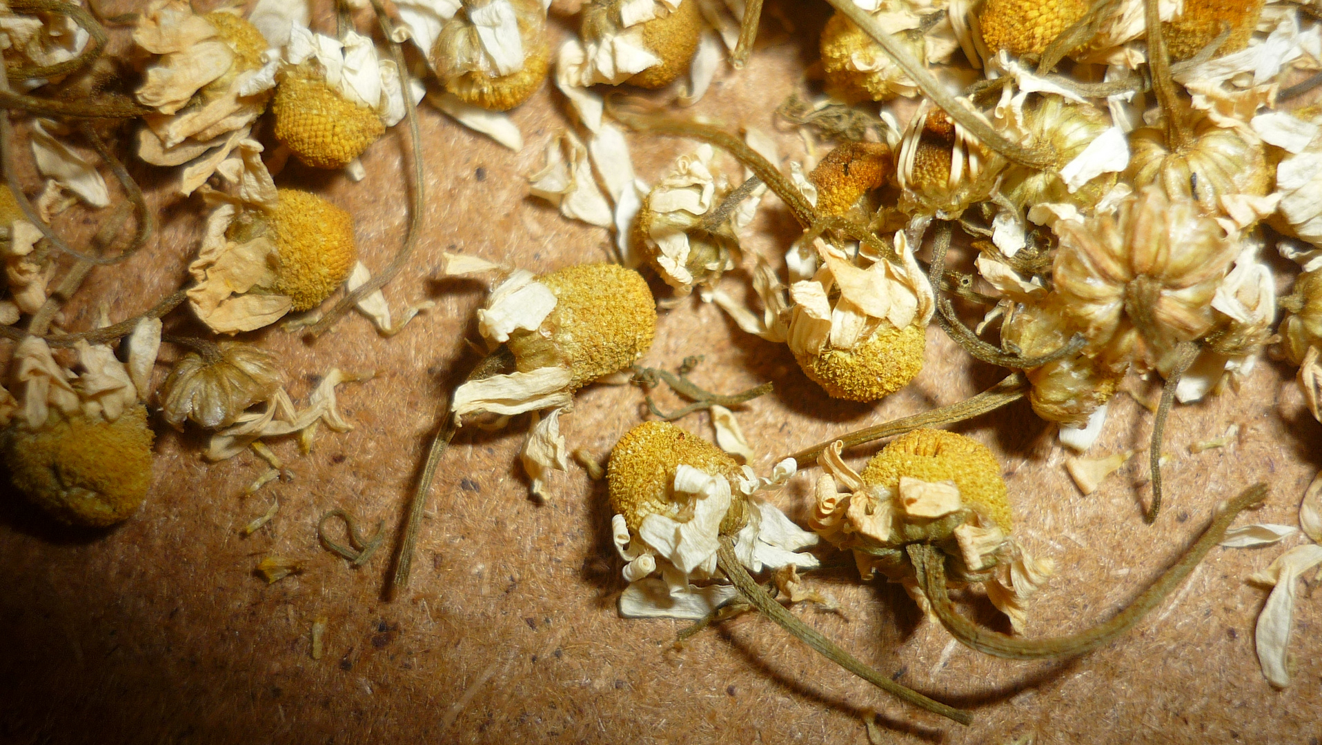 Dried flowers