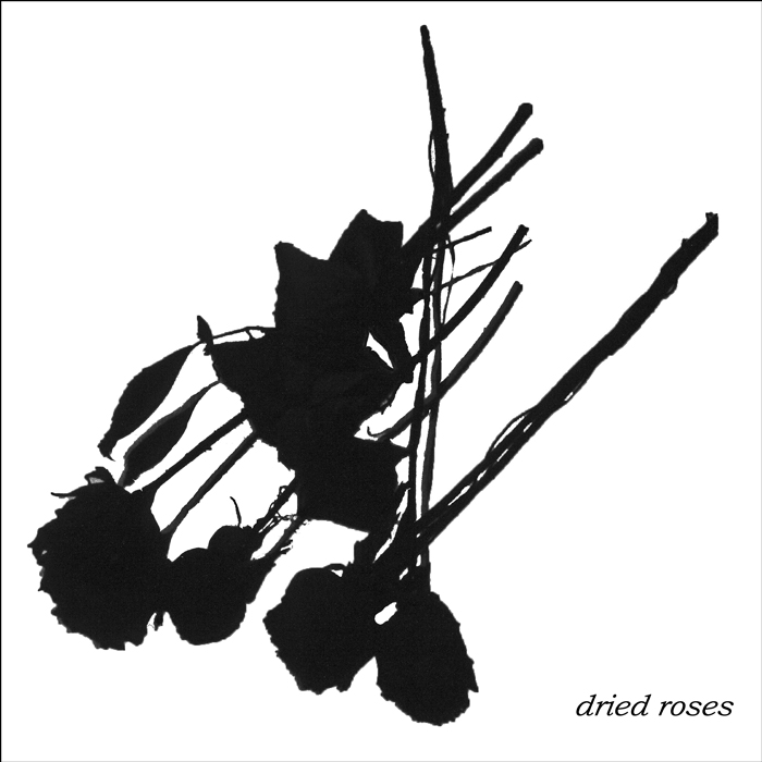 dried roses