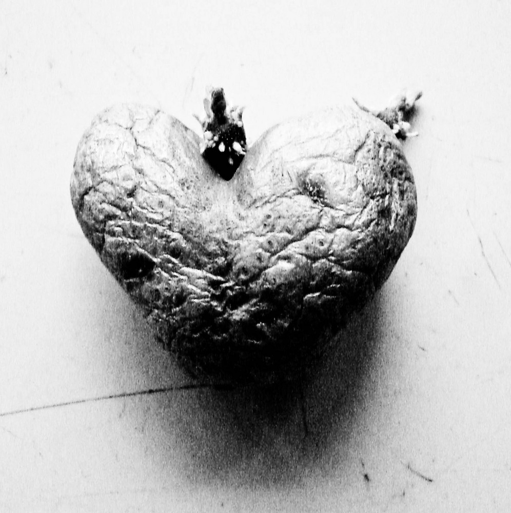 Dried up heart