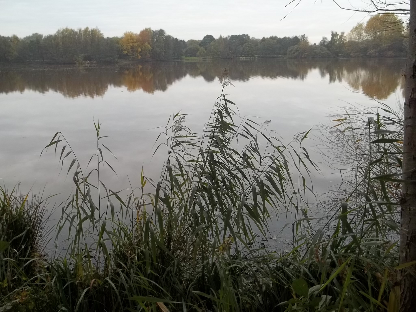 Drielaker See in Oldenburg