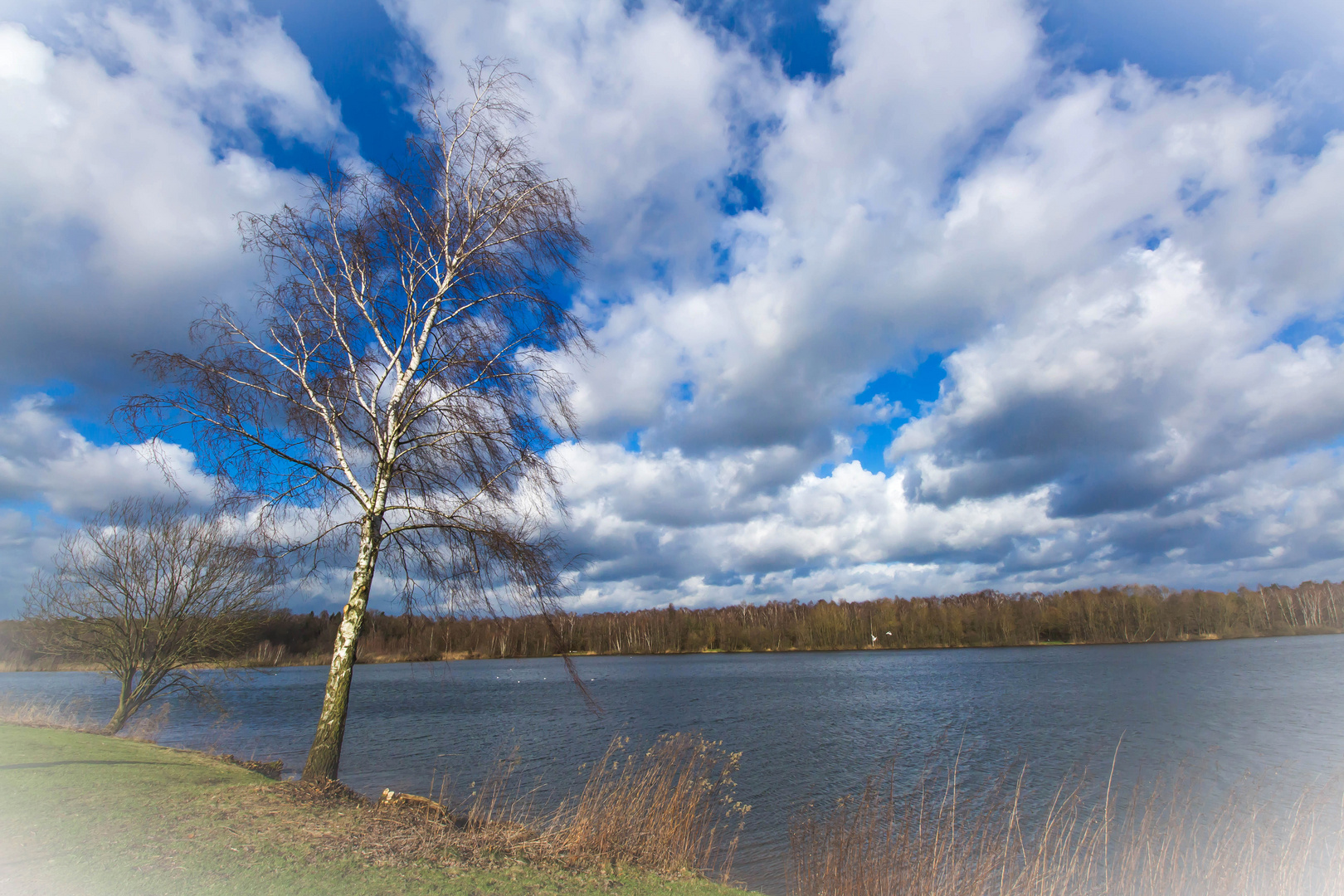 Drielandsee