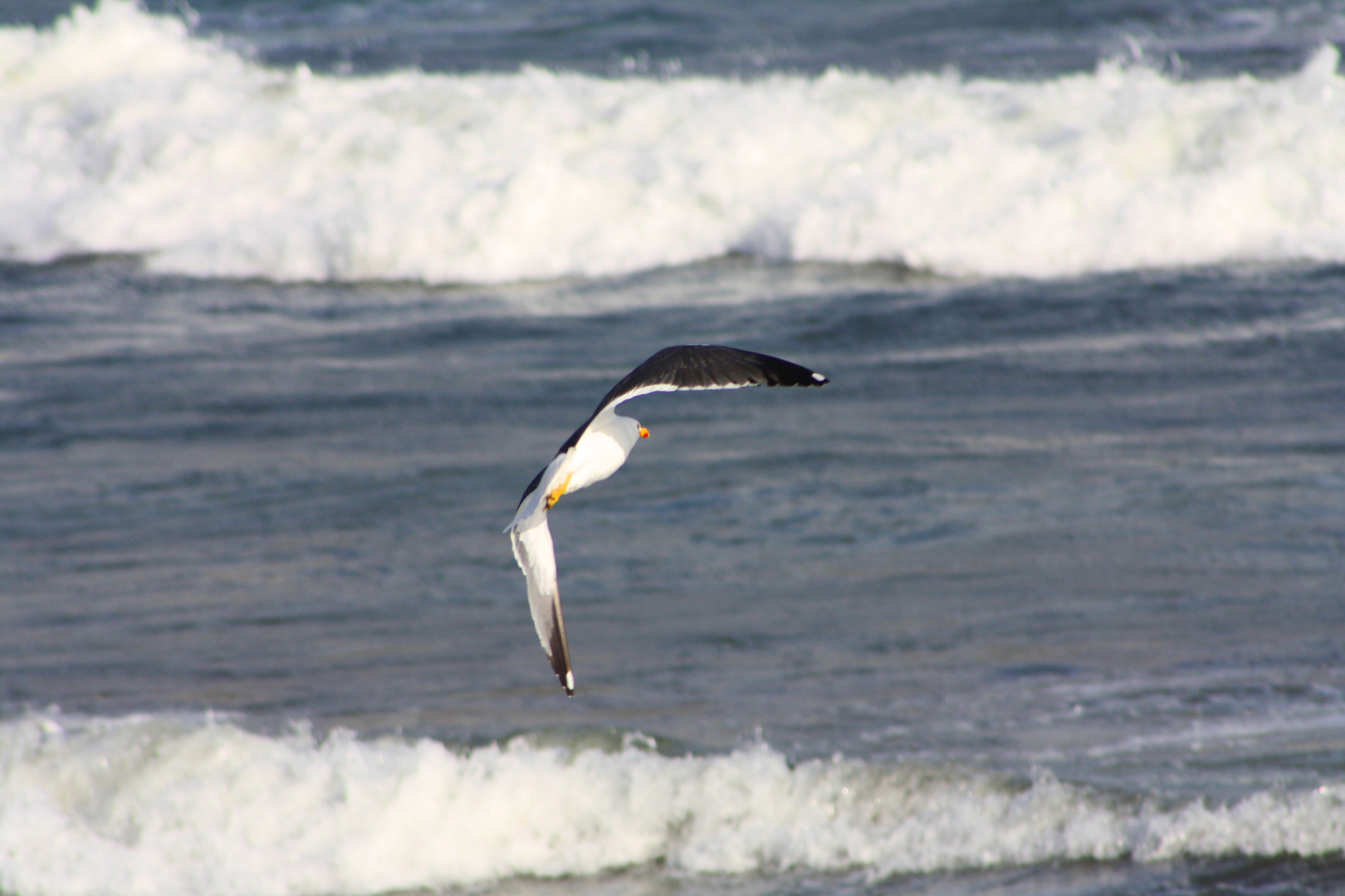 Drifting through the Irish wind