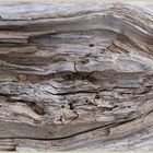 driftwood 20 holy island