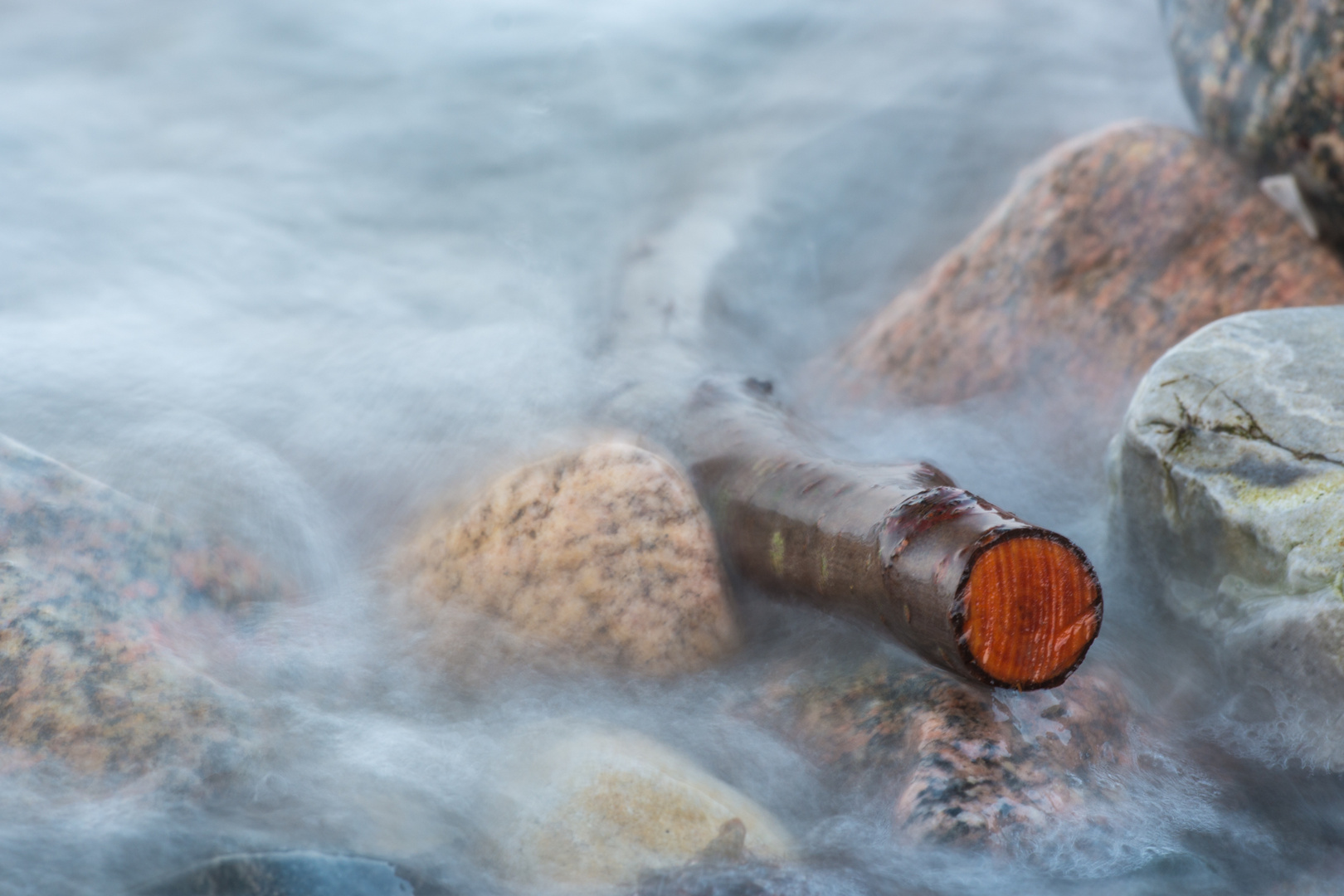 Driftwood