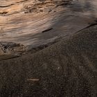 Driftwood on black sand