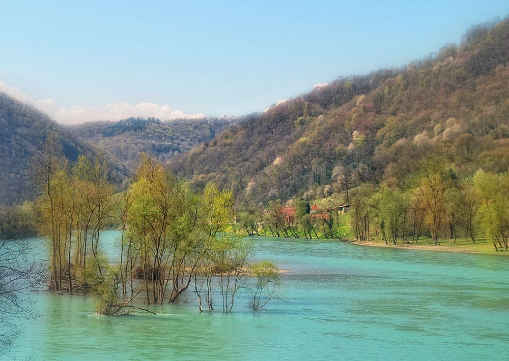 Drina