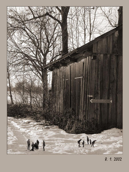 Dritte und letzte Aufnahme vom Zwergenvolk.Fotografiert am 8.1.2002