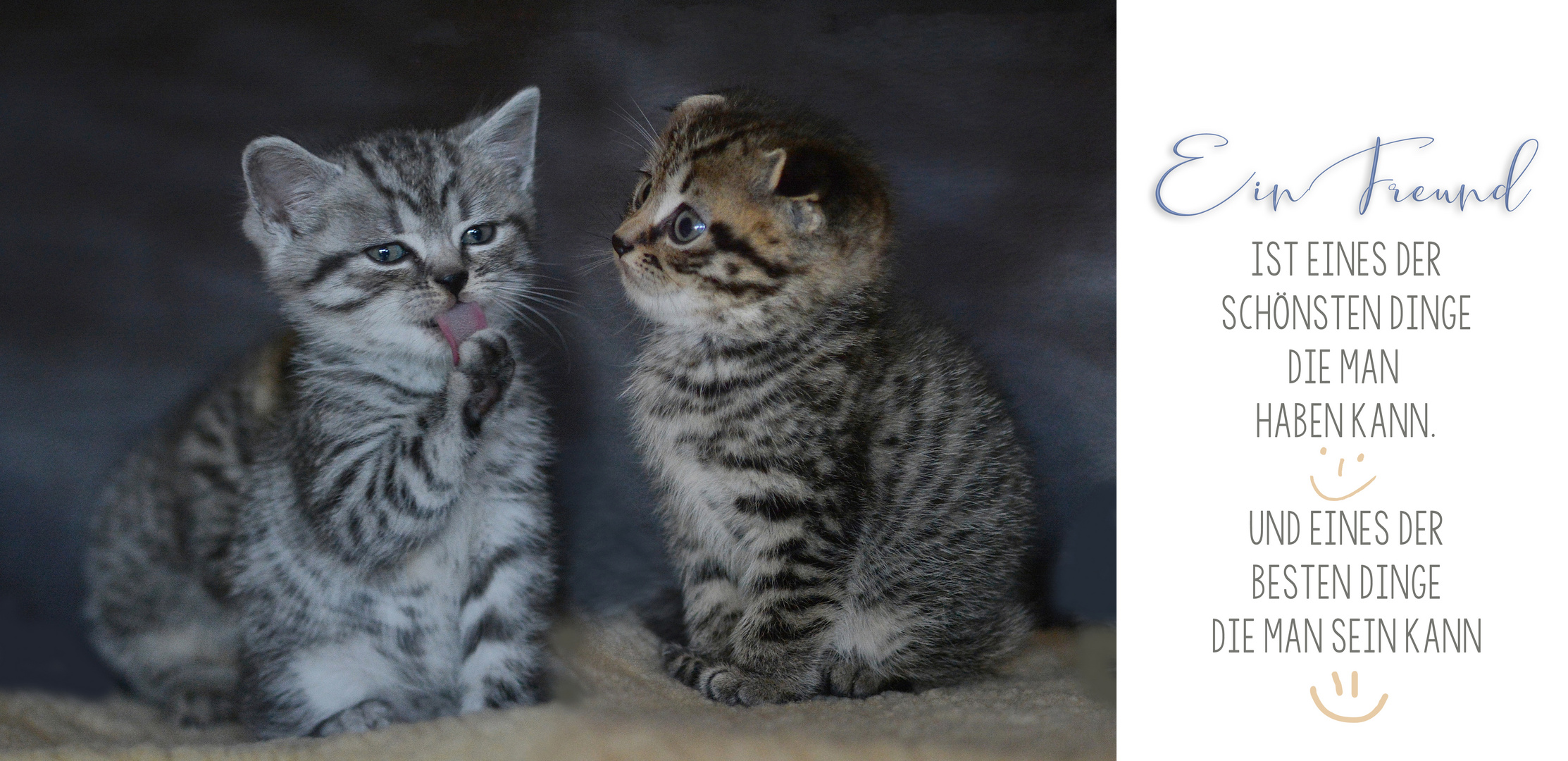 Drittens Drittens
