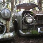 Driven Autofriedhof Messerli Opel-Fiat