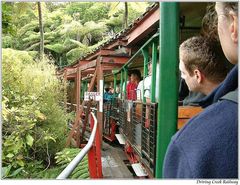 Driving Creek Railway