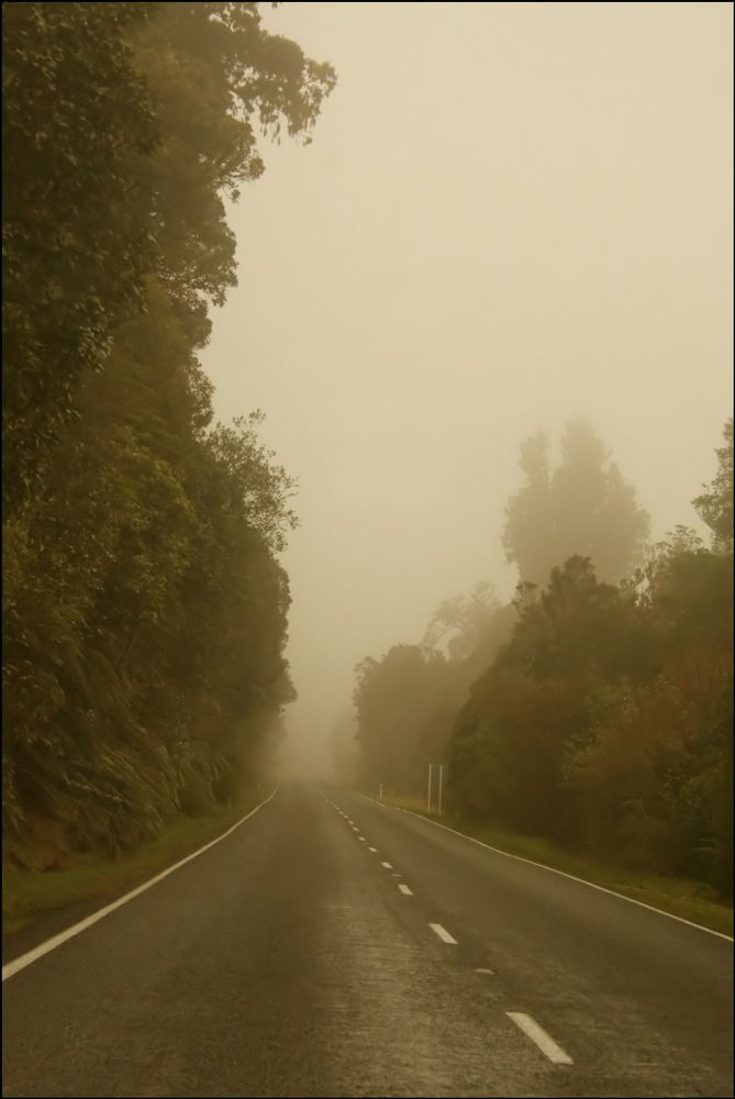 Driving in the Mist