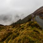 Driving into the mist