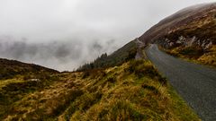 Driving into the mist