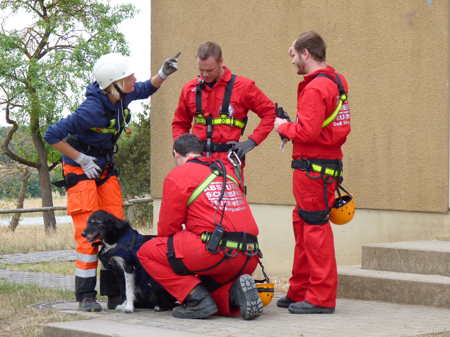 DRK Rettungshundestaffel im Trainingseinsatz mit Absturzsicherung der Feuerwehr