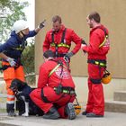 DRK Rettungshundestaffel im Trainingseinsatz mit Absturzsicherung der Feuerwehr