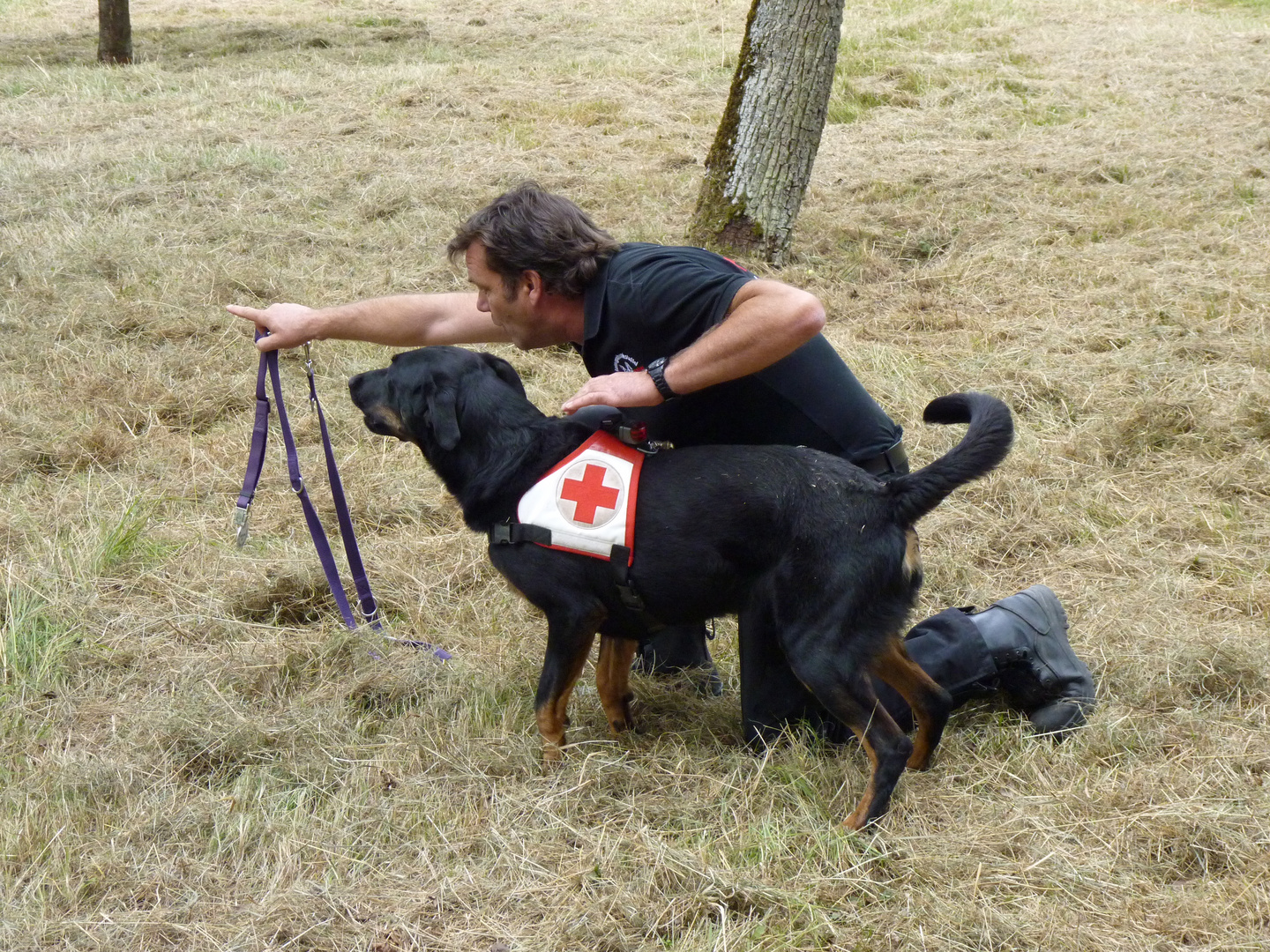 DRK Rettungshundestaffel im Trainingseinsatz - "such"!