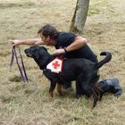 DRK Rettungshundestaffel im Trainingseinsatz - "such"!