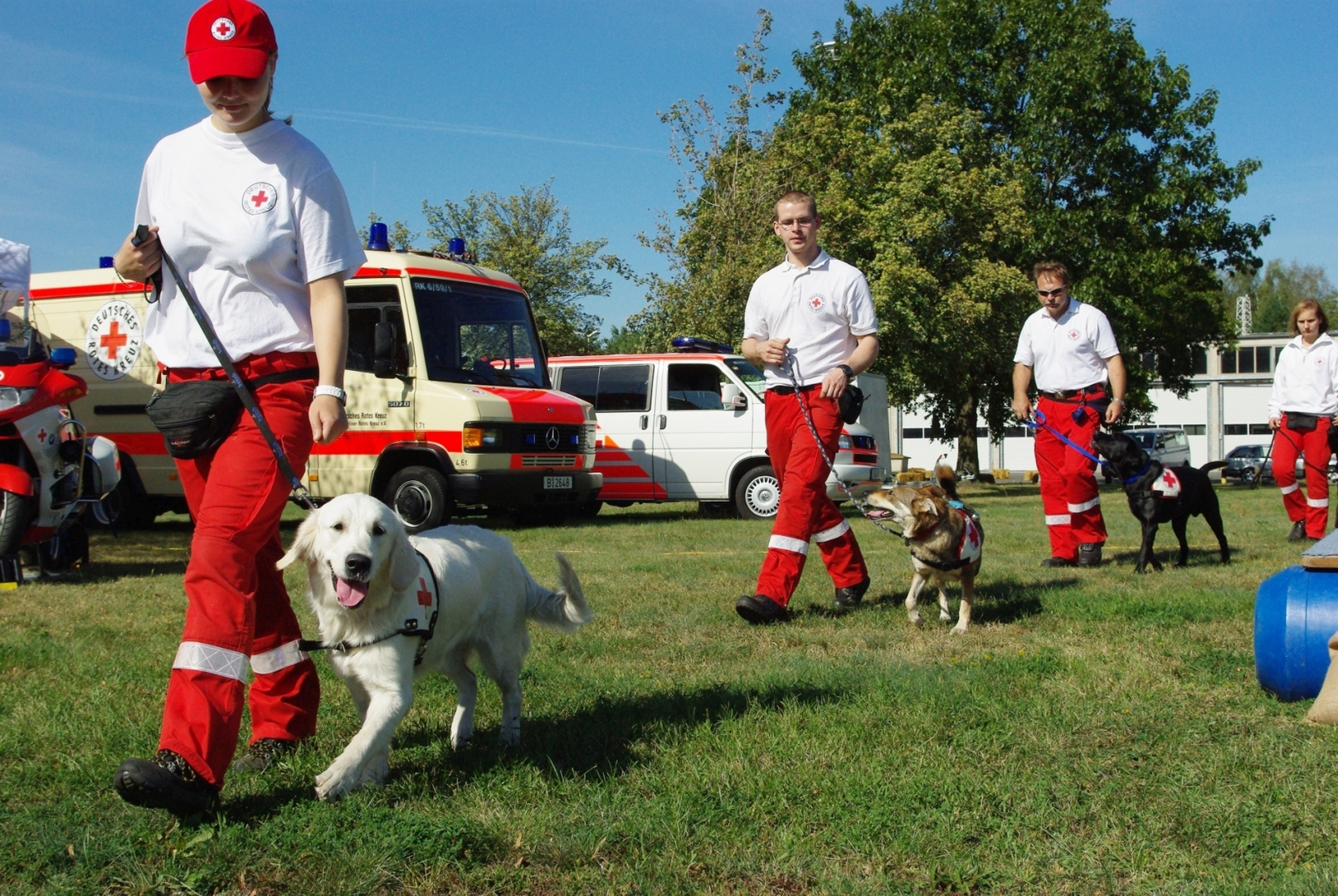 DRK Rettungshundestaffel Wittenau