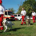 DRK Rettungshundestaffel Wittenau