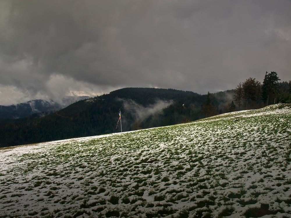 Droba em Wald, hoats a klois Schneele geschneit...