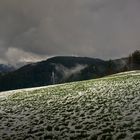 Droba em Wald, hoats a klois Schneele geschneit...