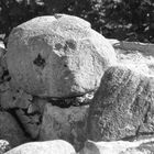 "Droben auf dem Burg-Getrümmer, Noch der Todesengel sass"