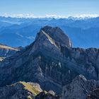 Droben beim Säntis