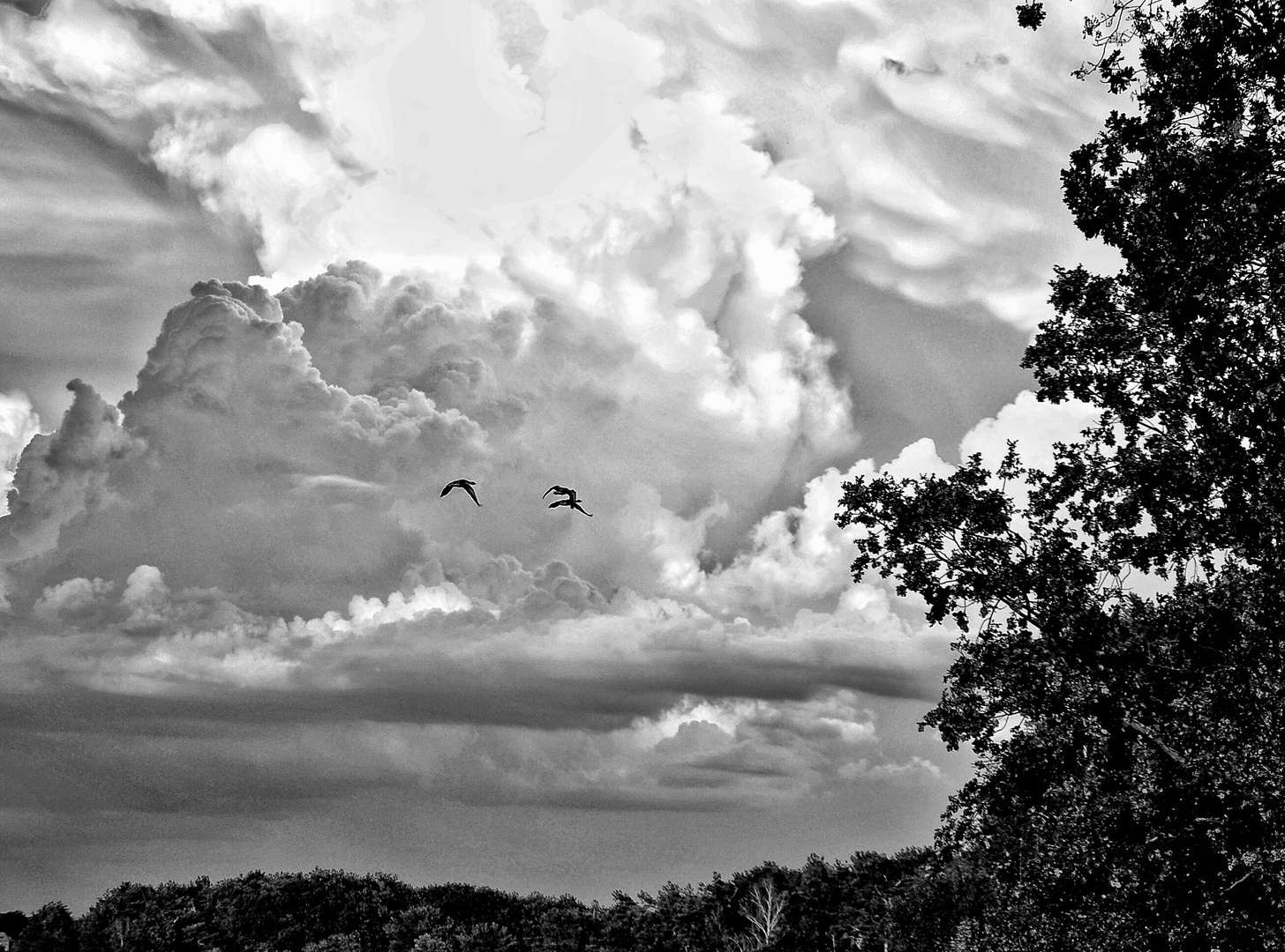 Drohende Gewitter Wolken im anmarsch 