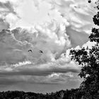 Drohende Gewitter Wolken im anmarsch 