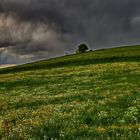 Drohende Wolken im Mai ziehen harmlos vorbei.