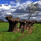 Drohende Wolkenformationen