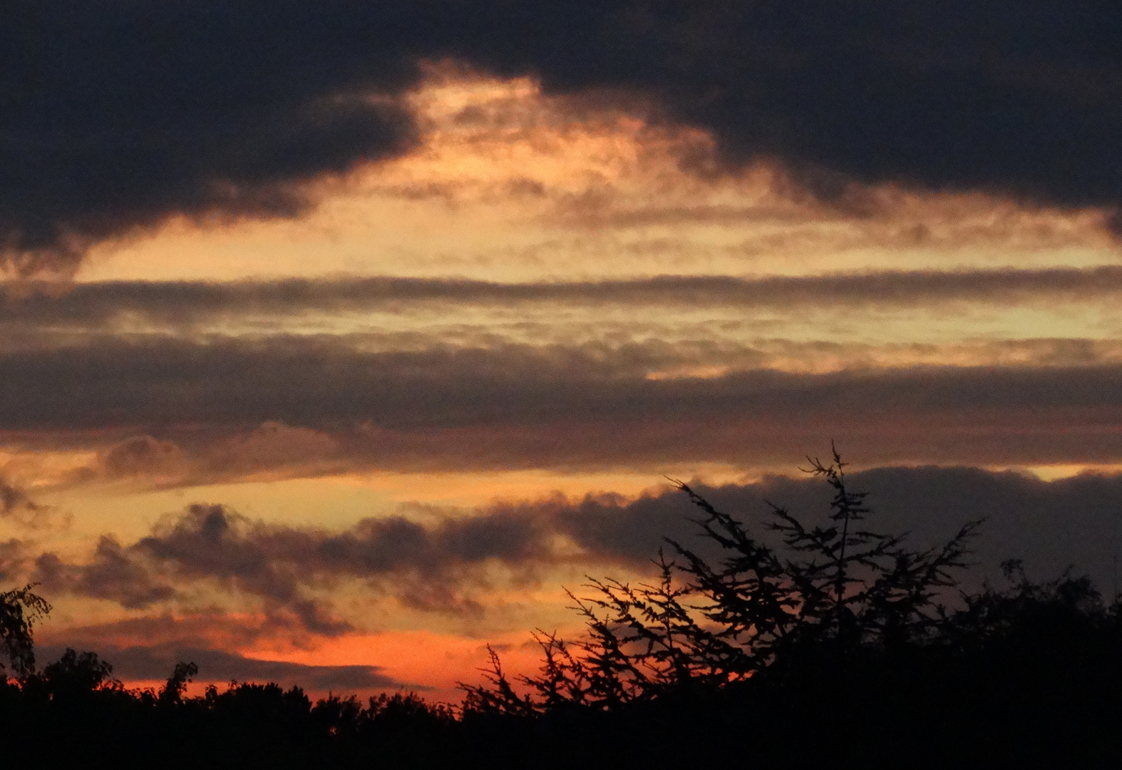 Drohendes Gewitter ; impending storm