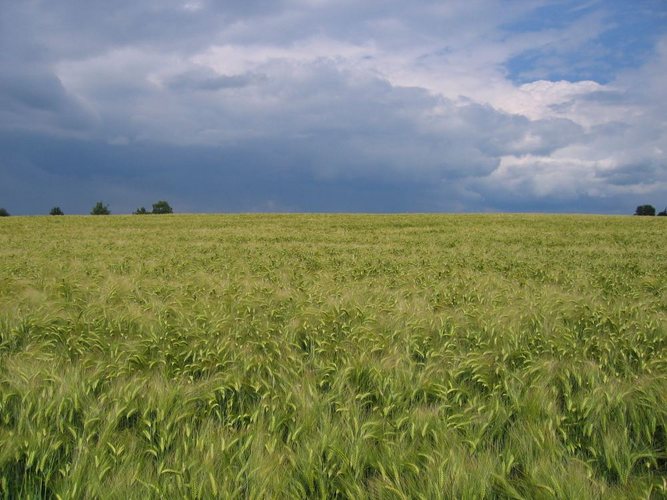 Drohendes Unwetter