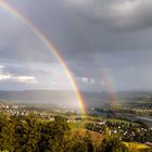 Drohne über dem Rhein