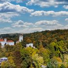 Drohnenaufnahme Rückseite Schloss Waldenburg in Sachsen-2