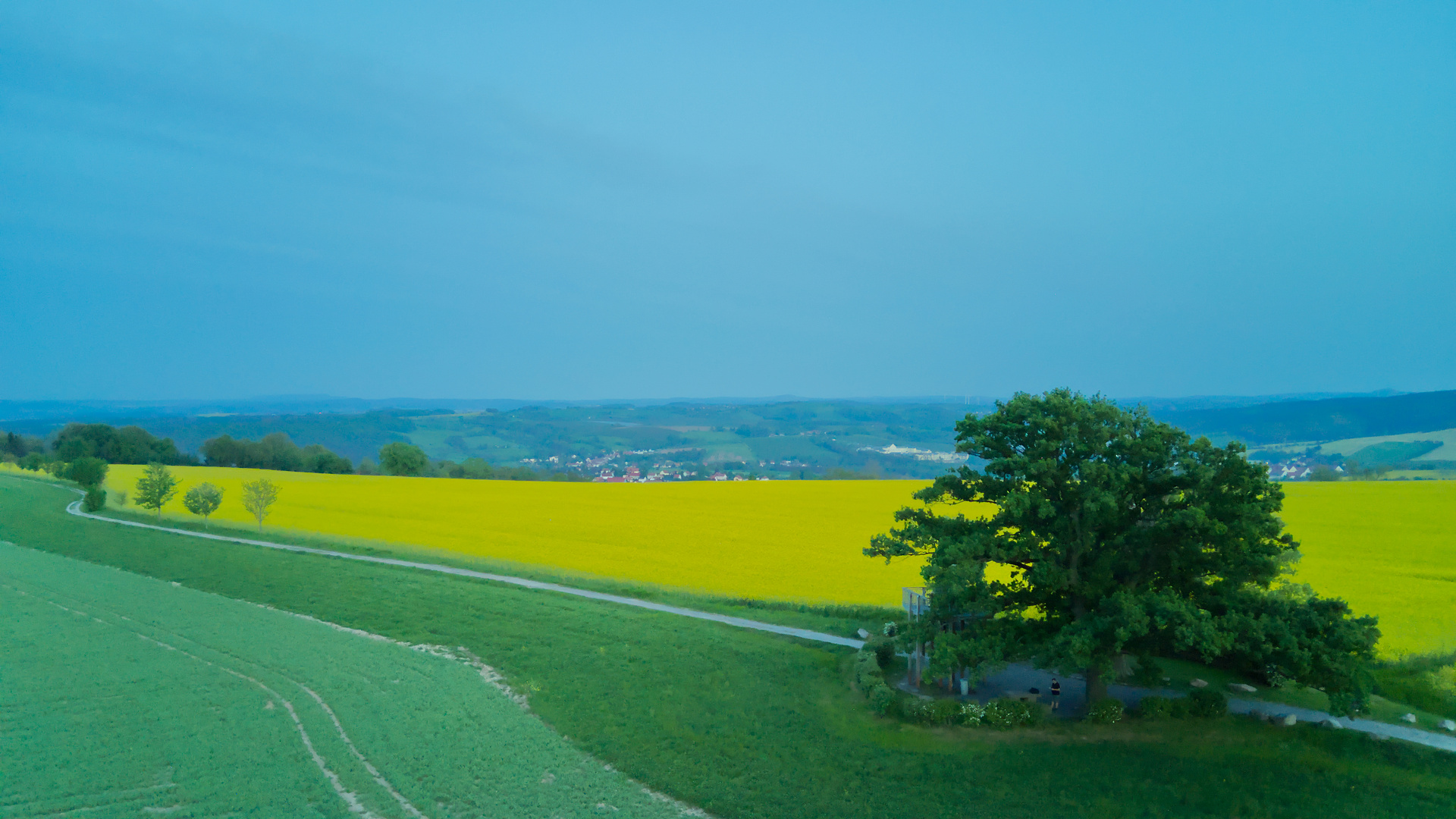 Drohnenblick Babisnauer Pappel 2