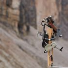 Drohnenfliegen im Naturpark Dolomiten ist verboten, hohe Strafen gibt es, das Fluggerät wird...