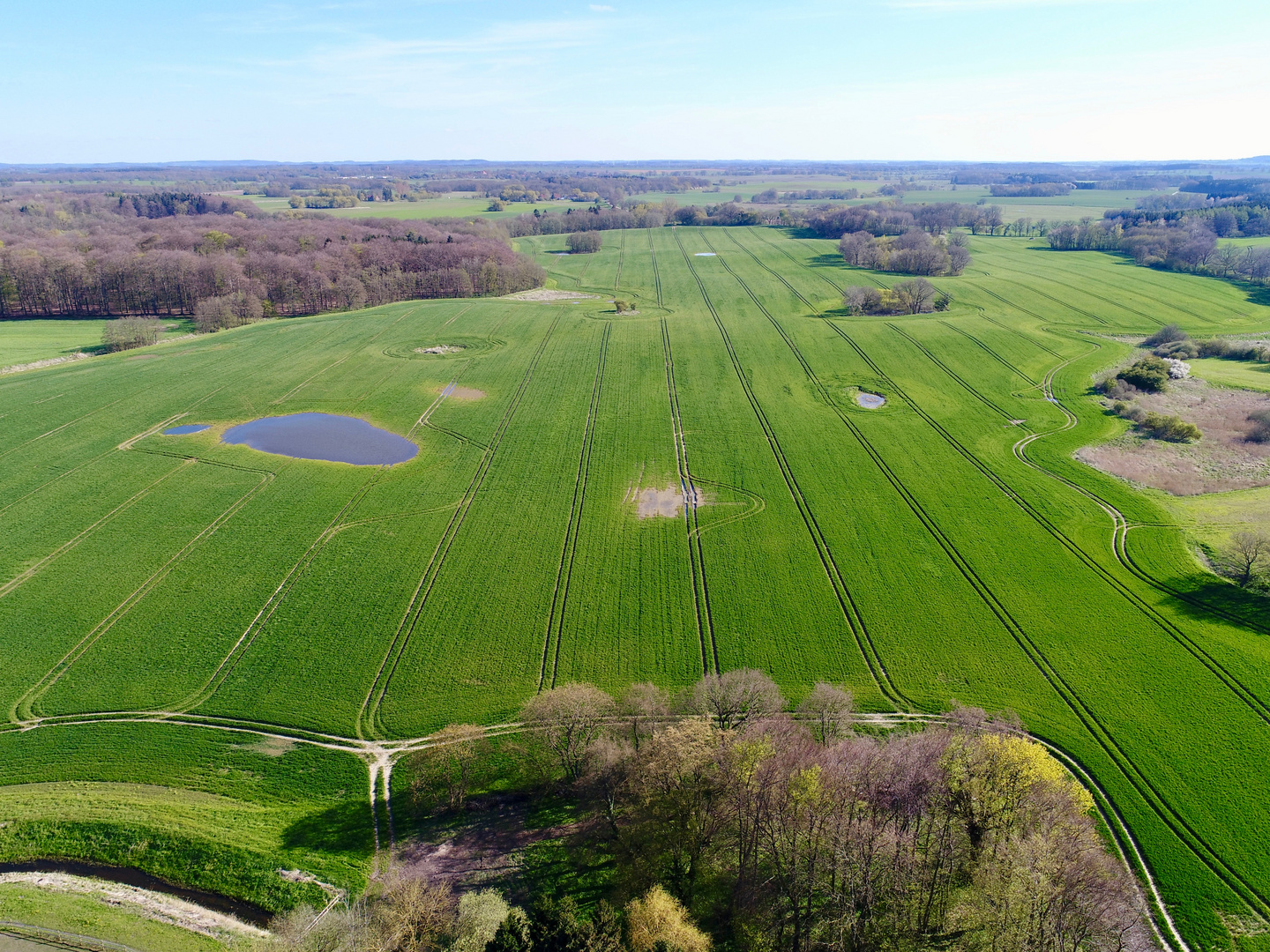 Drohnenfoto von einem großen Feld