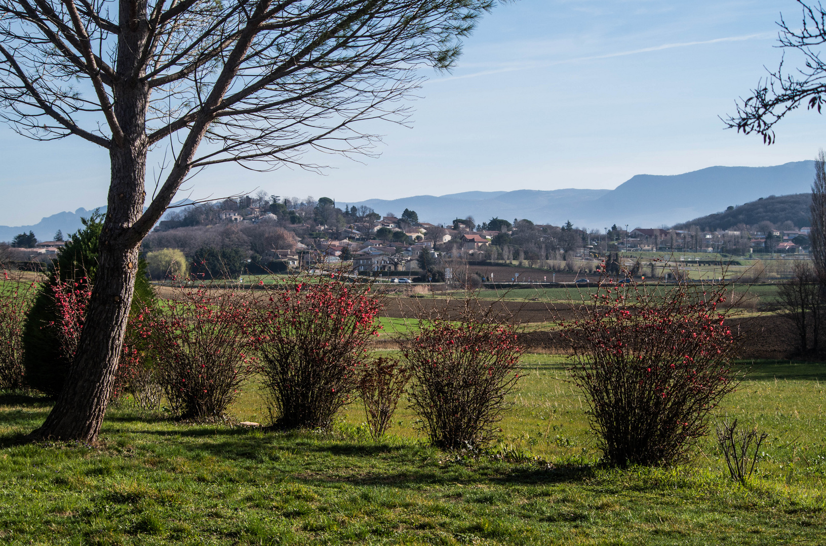 Drôme provençale