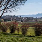 Drôme provençale