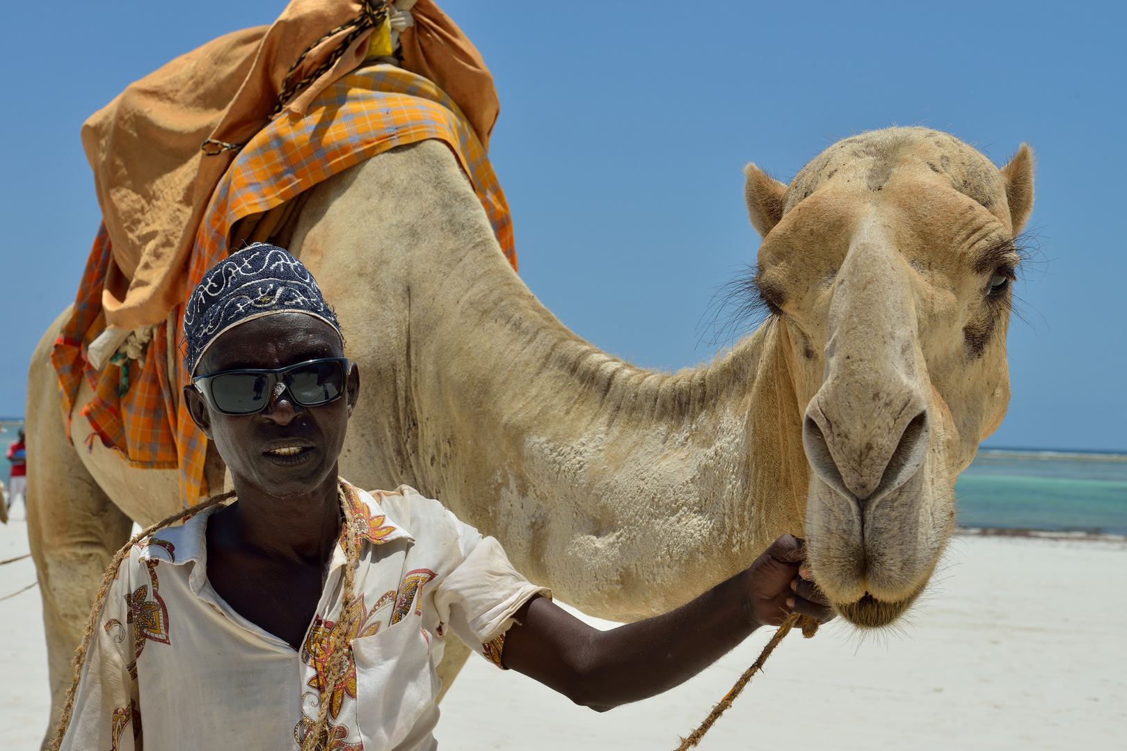 Dromedar am Diani-Strand 2