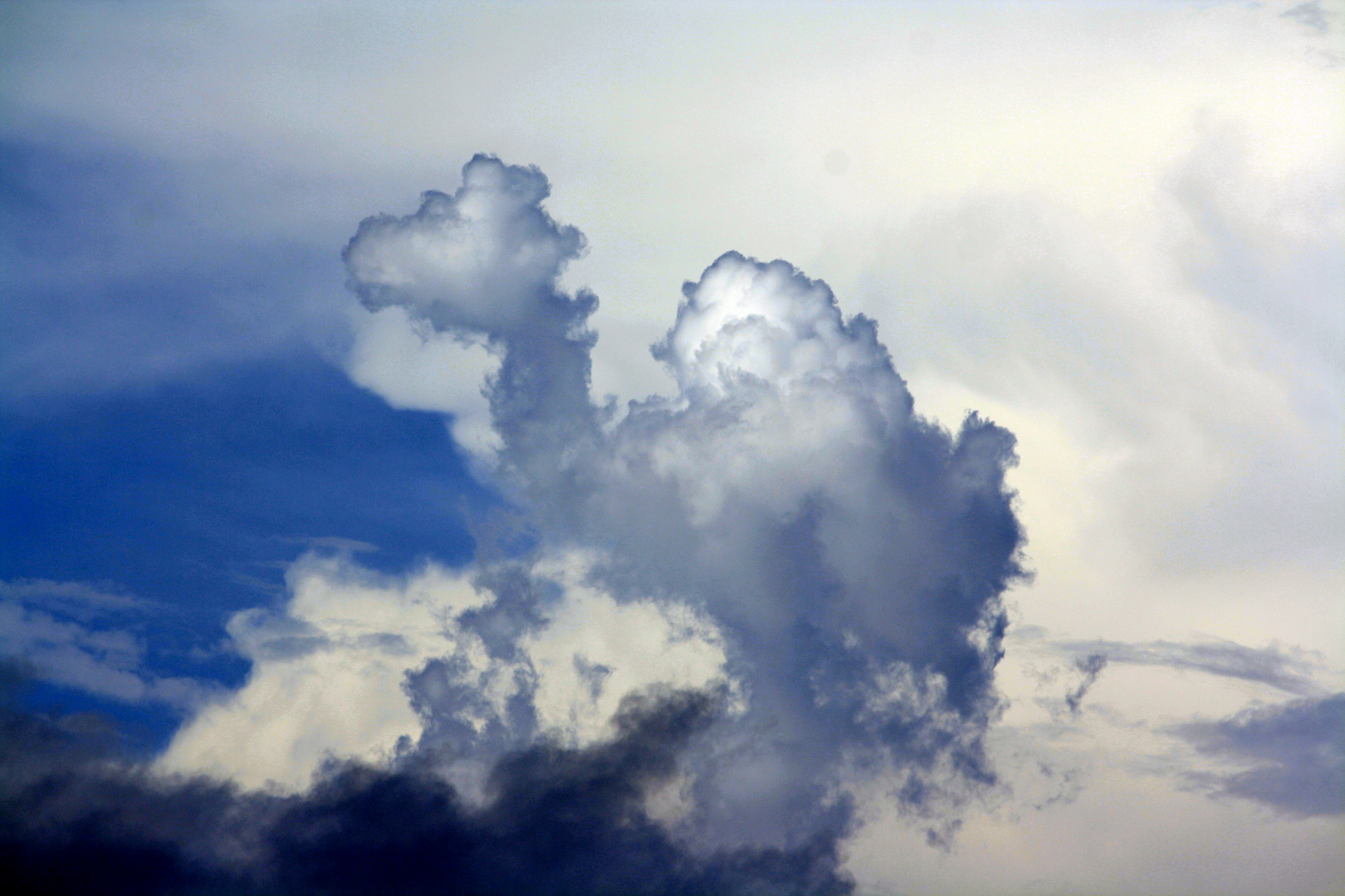 Dromedar der Wolken