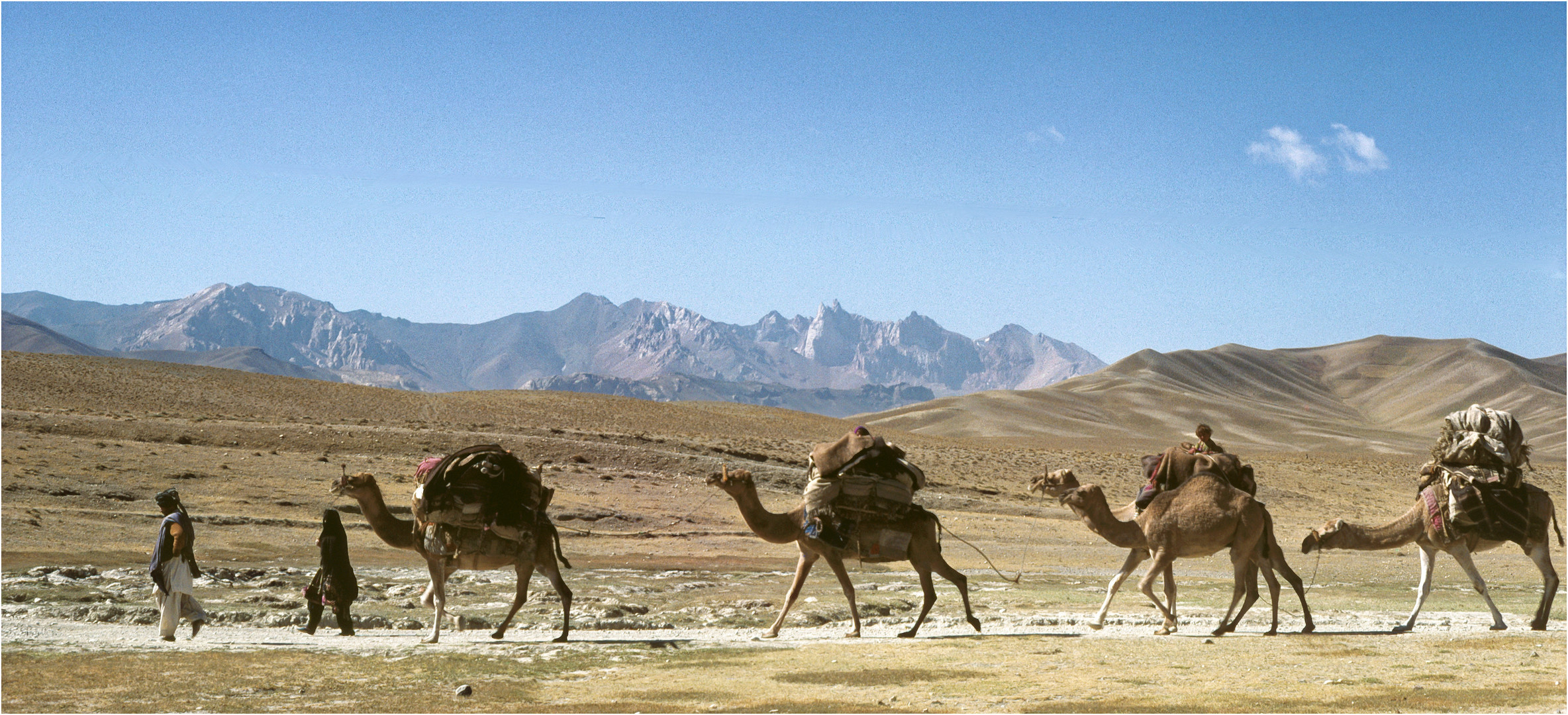 Dromedare auf Piste in Afghanistan -Foto von 1978