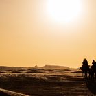 Dromedarkarawane in der Sahara