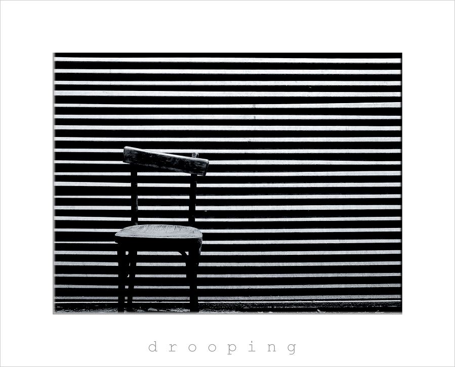 drooping
